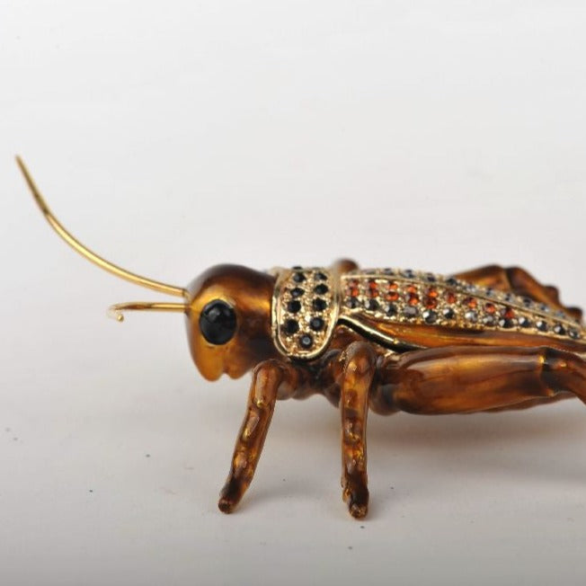 Keren Kopal Amber Grasshopper