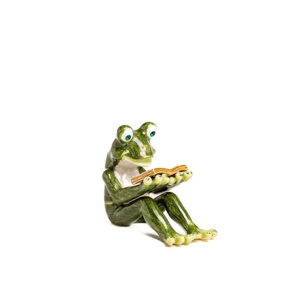Keren Kopal Frog Reading a Book