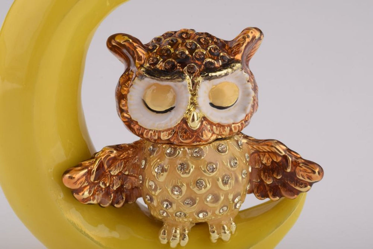 Keren Kopal Owl Sleeping on Moon