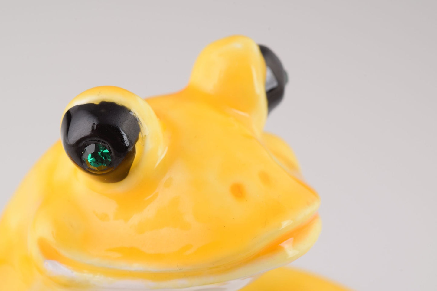 Keren Kopal Frog Playing on Keyboards