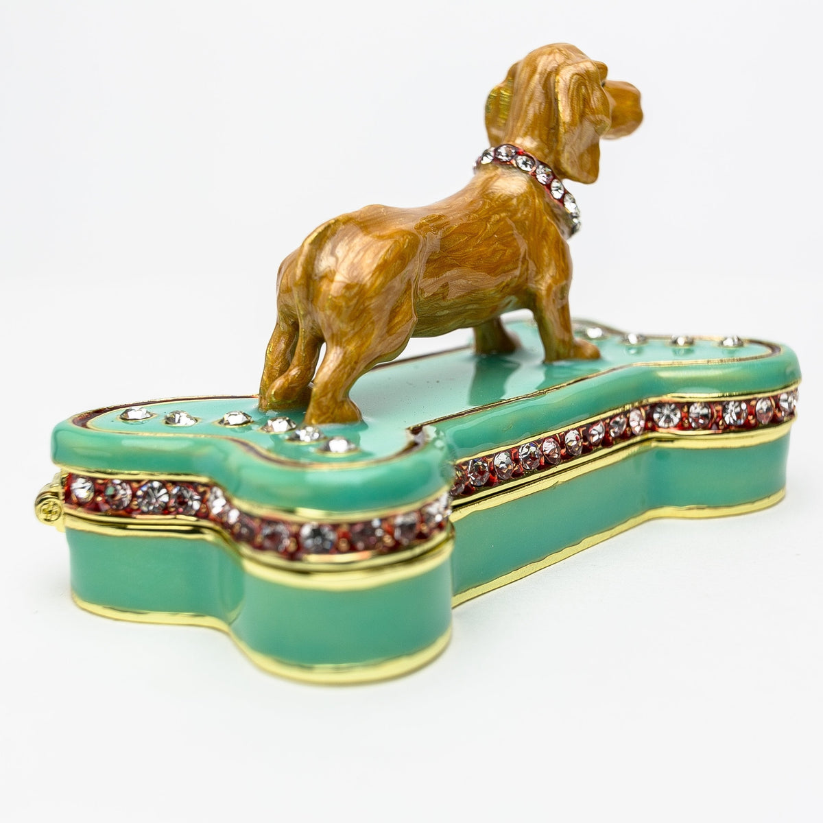 Keren Kopal Dachshund Dog Sitting on Bone