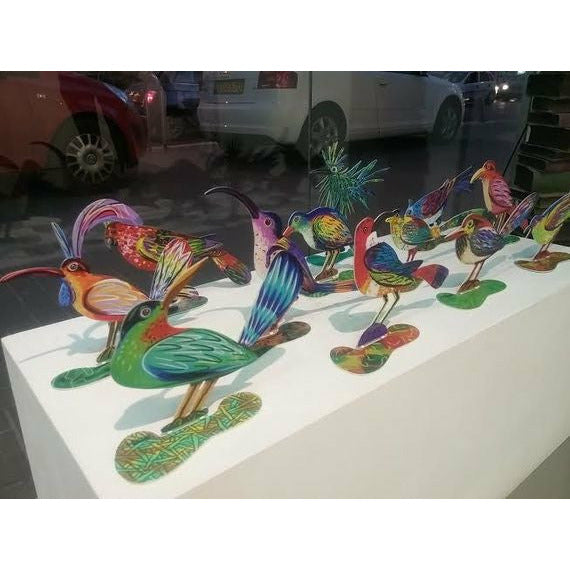 ציפור משוגעת דו צדדית | דוד גרשטיין