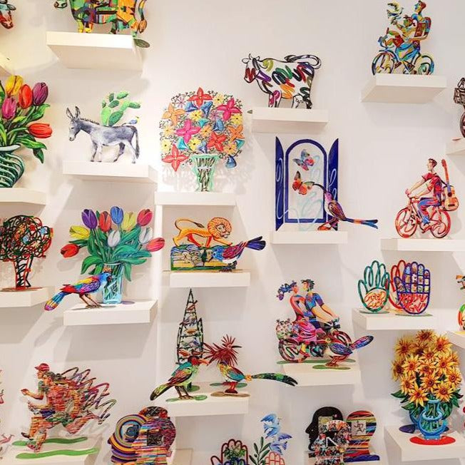 דוד גרשטיין | פרה נאוה