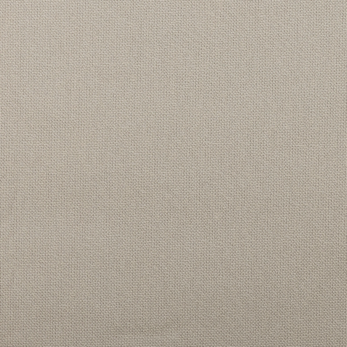 כיסא לאונג' - עץ שיטה