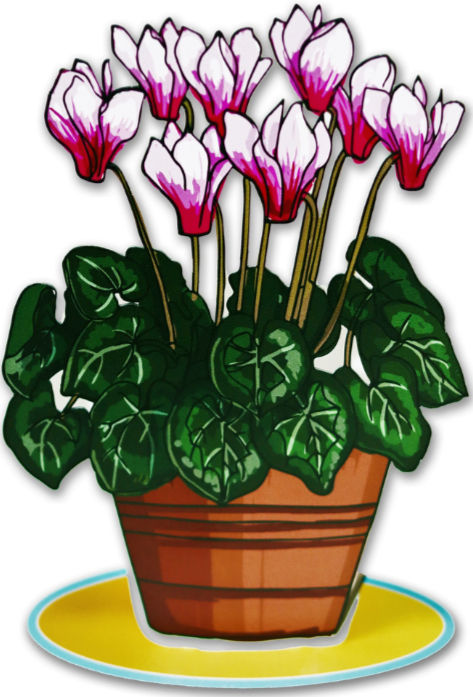 עציץ רקפות 33 ס"מ - תמונה 1