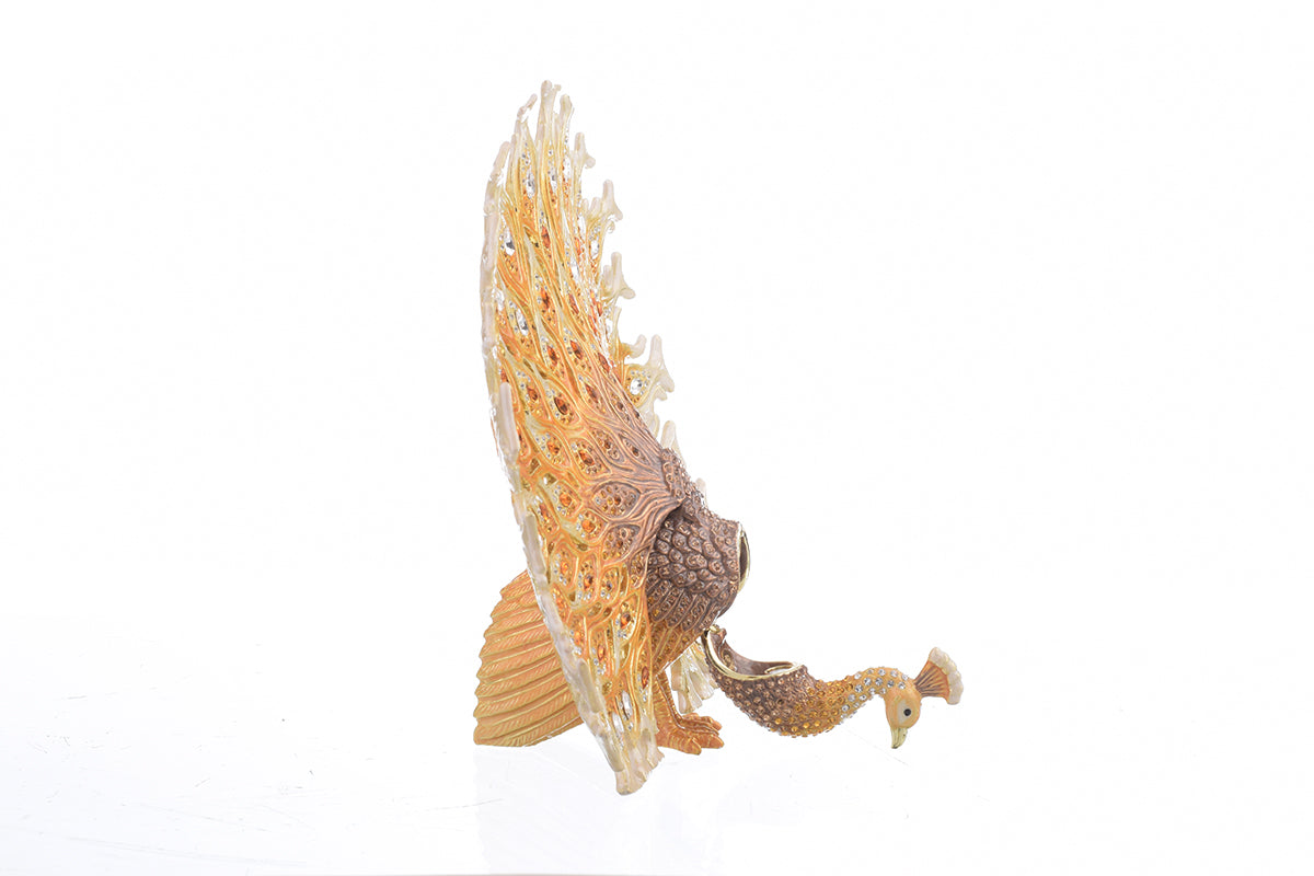 Keren Kopal Brown Peacock