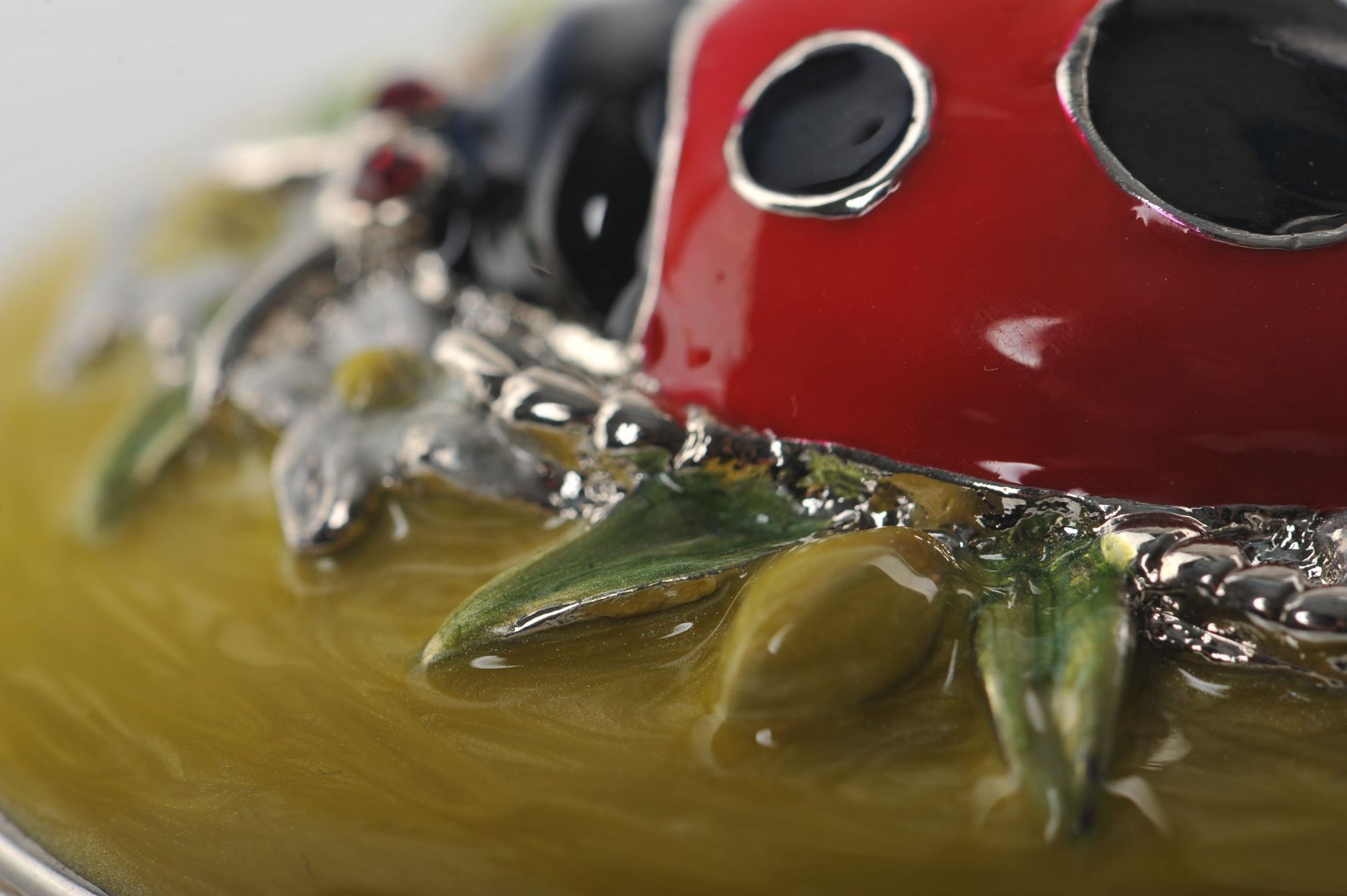 Keren Kopal Green Box with Red Ladybug