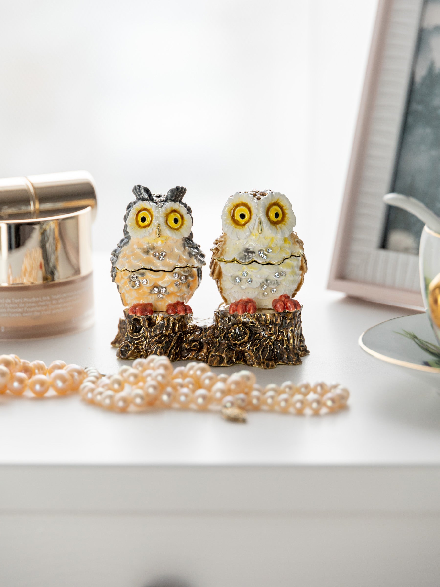 Keren Kopal Two Owls Sitting on Tree Trunk