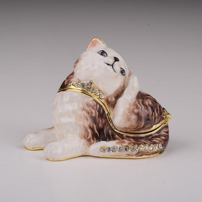 Keren Kopal Brown Cat