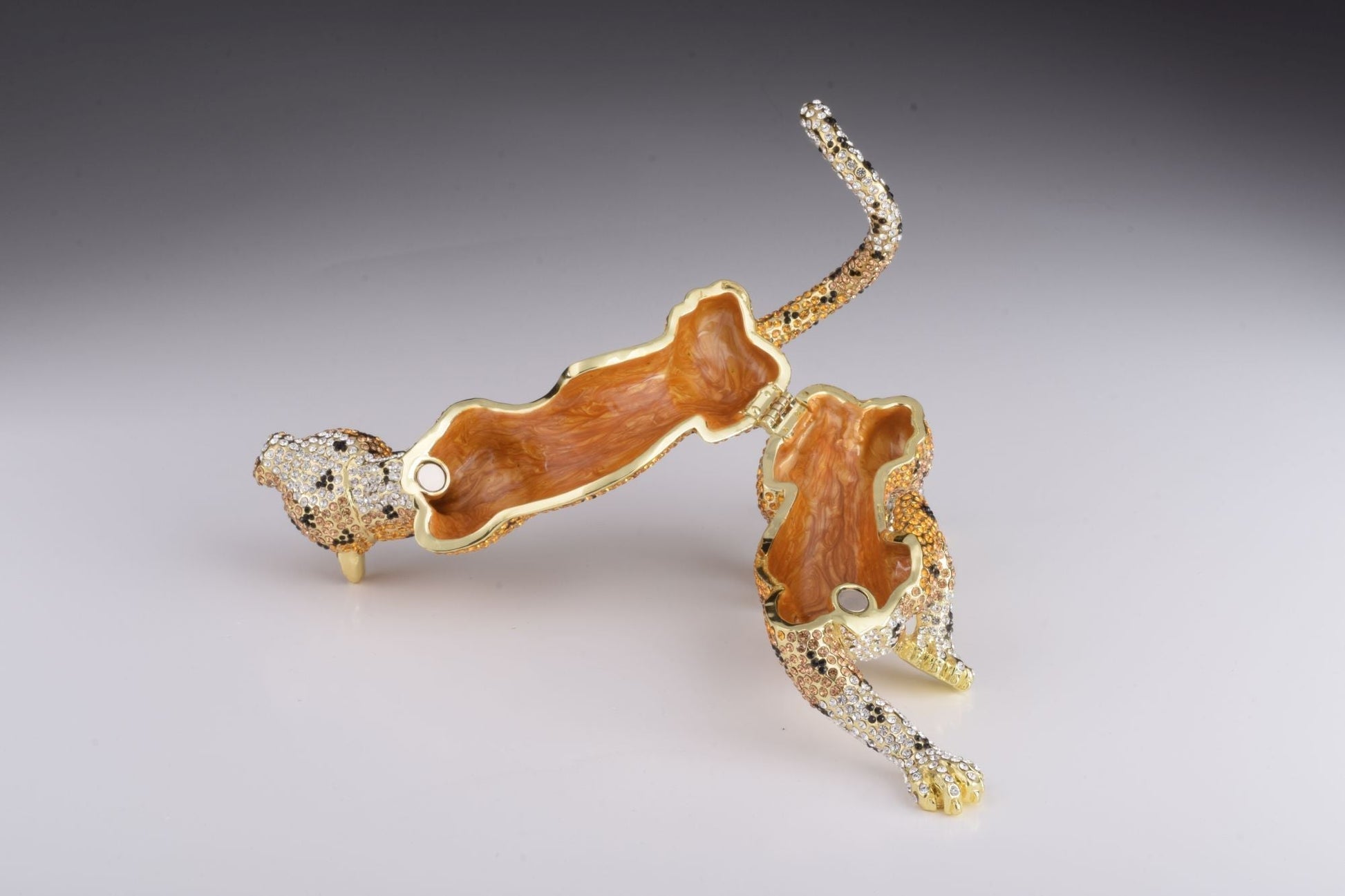 Keren Kopal Brown Lioness, cheetah