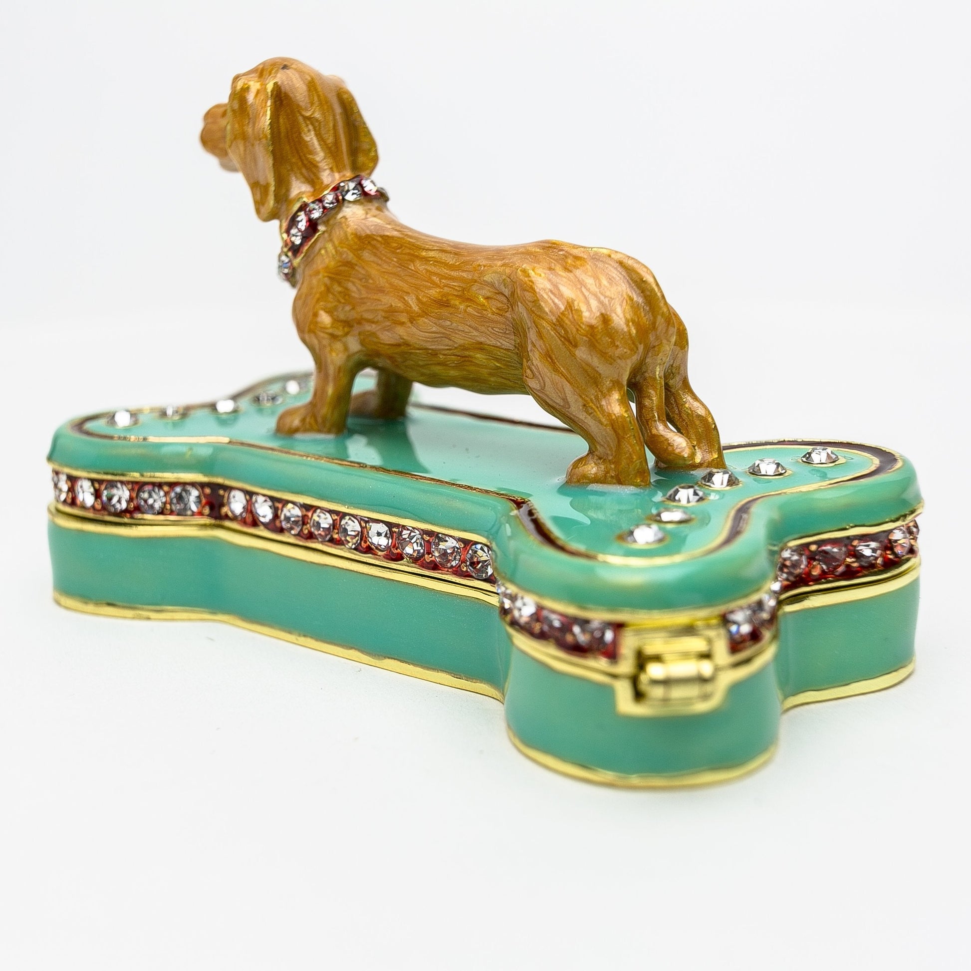 Keren Kopal Dachshund Dog Sitting on Bone